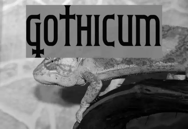 Gothicum Caratteri examples