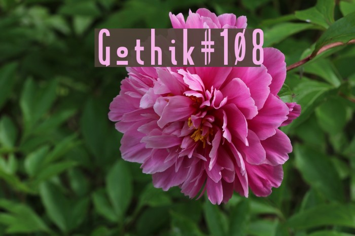 Gothik#108 Font examples