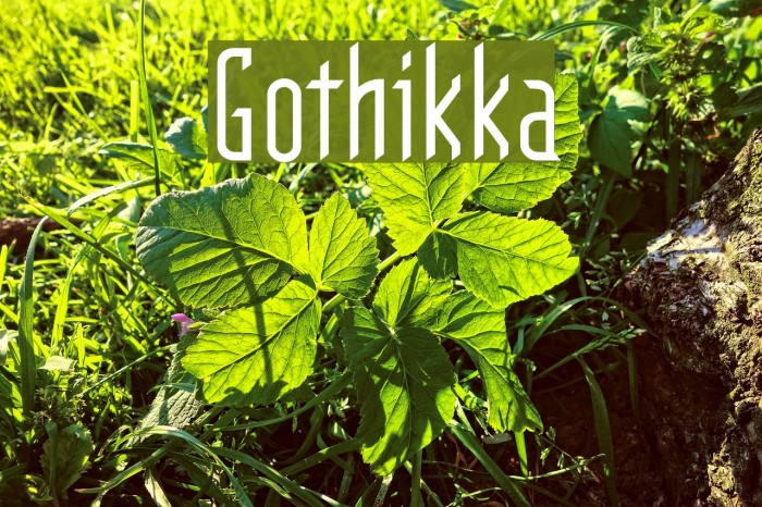 Gothikka Font examples