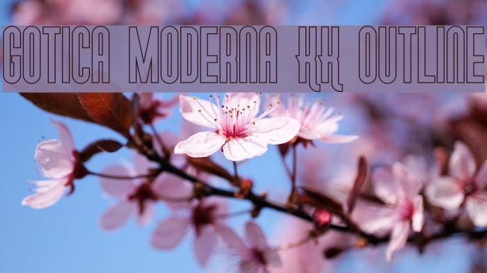 Gotica Moderna KK Outline Example 3