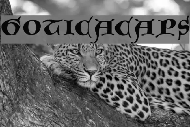 GoticaCaps Font examples