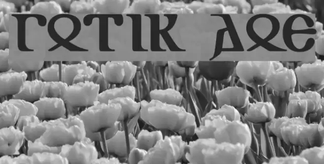 Gotik AOE Font examples