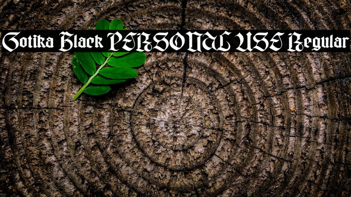 Gotika Black PERSONAL USE Regular Example 1