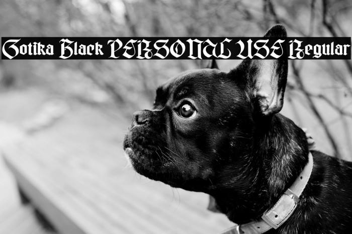 Gotika Black PERSONAL USE Regular Example 2
