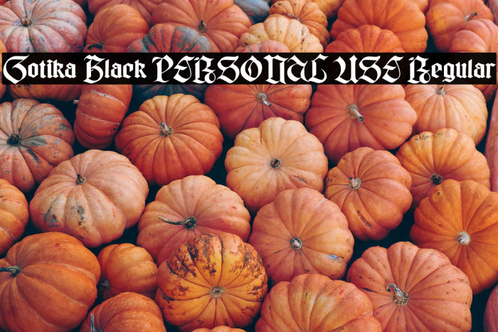 Gotika Black PERSONAL USE Regular Example 3