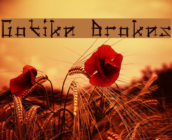 Gotika Brokas Font examples