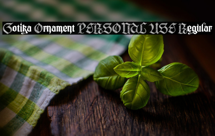 Gotika Ornament PERSONAL USE Regular Example 2