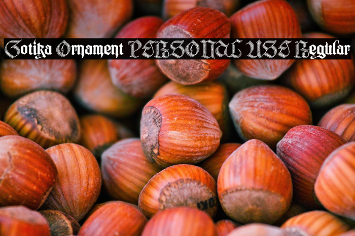 Gotika Ornament PERSONAL USE Regular Example 3