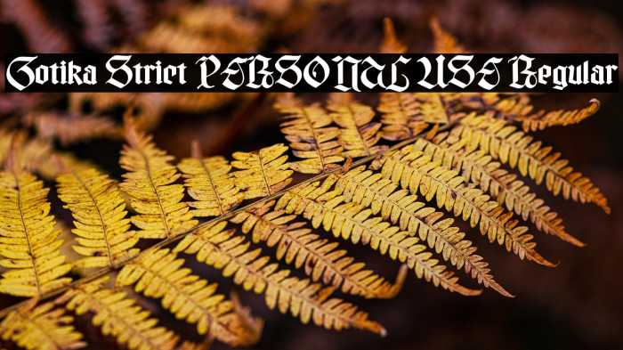 Gotika Strict PERSONAL USE Regular Example 1