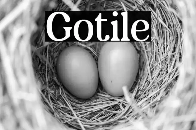 Gotile Font examples