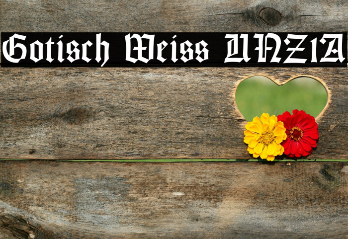 Gotisch Weiss UNZ1A Font examples