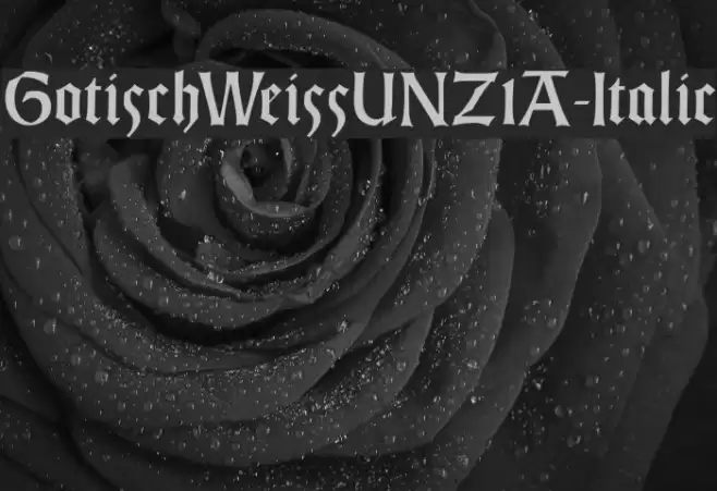 GotischWeissUNZ1A-Italic Font examples