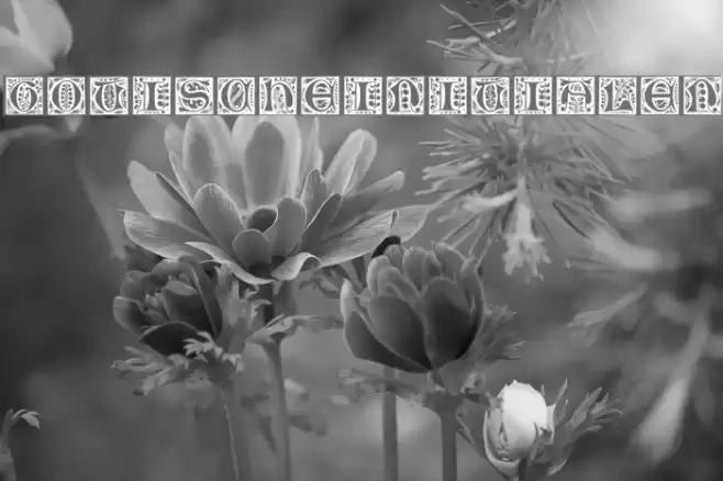 GotischeInitialen Font examples