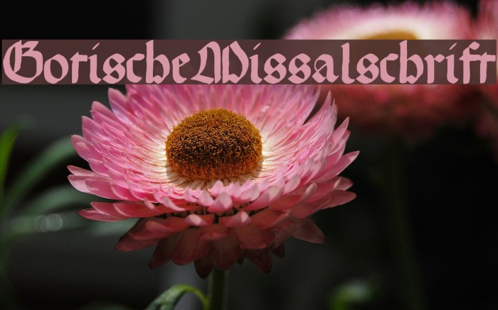 GotischeMissalschrift Example 1