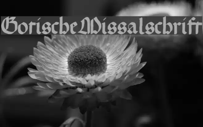 GotischeMissalschrift Font examples