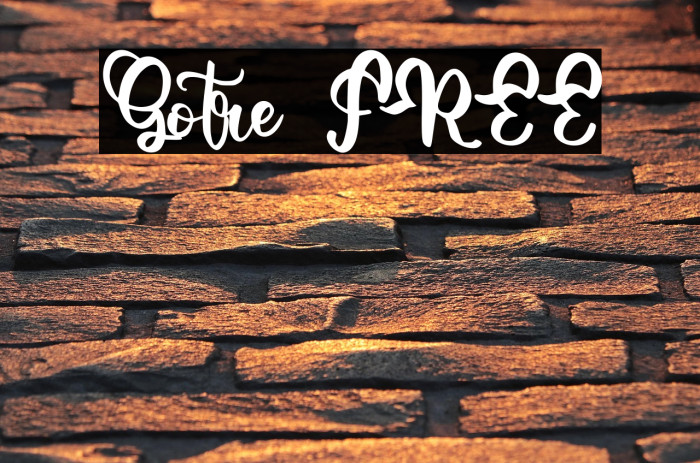 Gotre FREE Example 3