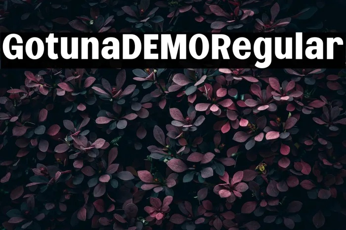 Gotuna DEMO Regular Example 1