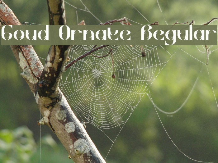 Goud Ornate Regular Font examples