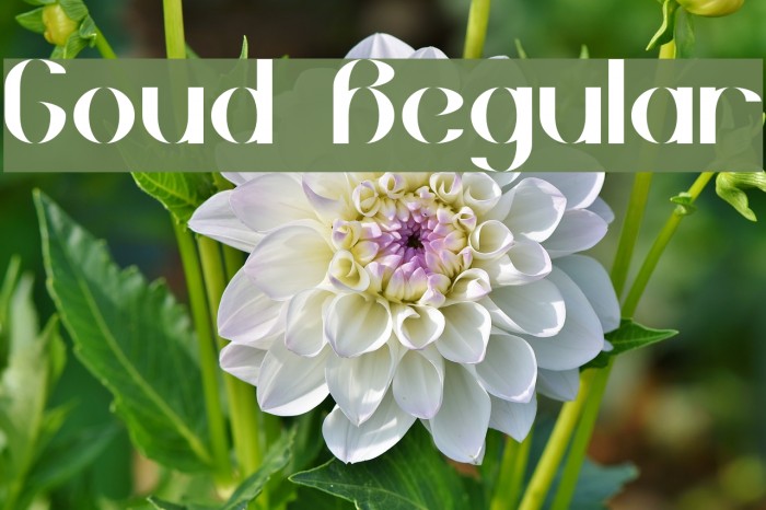 Goud Regular Example 1