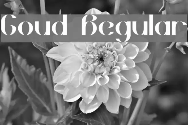 Goud Regular Font examples