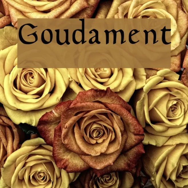 Goudament Example 1
