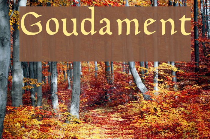 Goudament Font examples