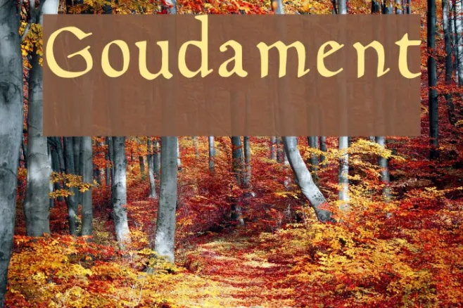 Goudament Example 3
