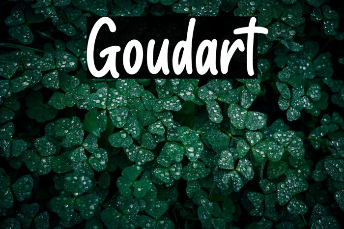 Goudart Example 1