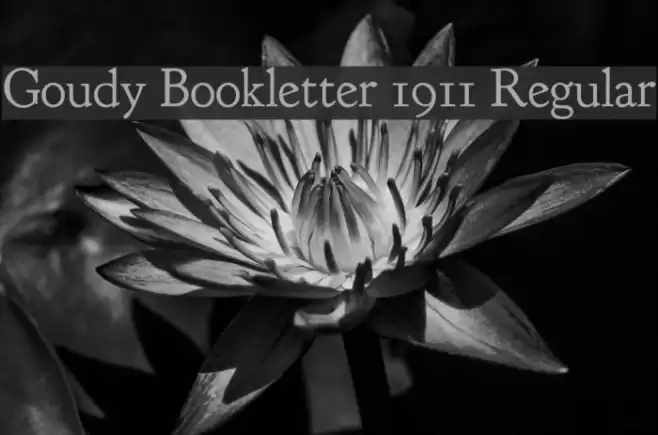 Goudy Bookletter 1911 Regular Polices examples