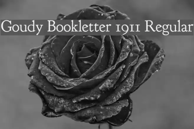 Goudy Bookletter 1911 Regular Polices examples