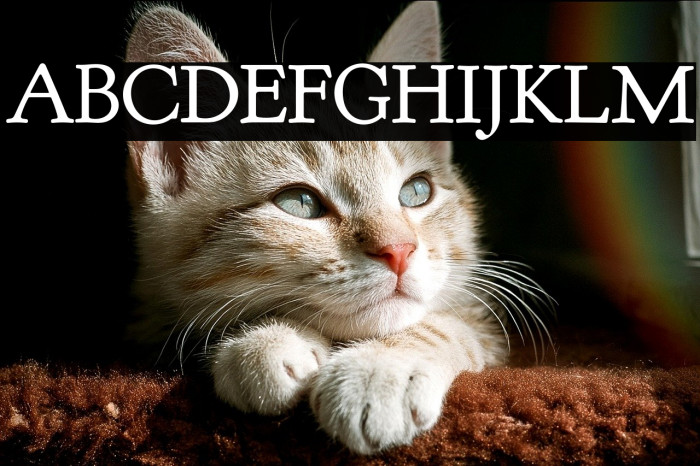 Goudy Bookletter 1911 Example 1