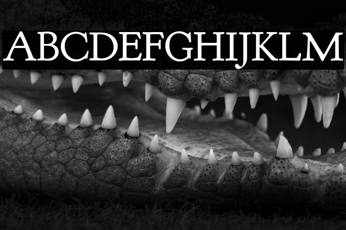 Goudy Bookletter 1911 Example 3