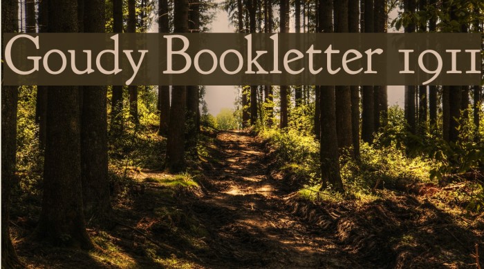 Goudy Bookletter 1911 Font examples