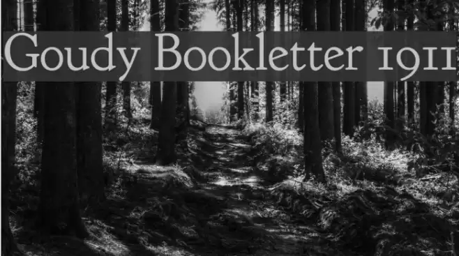 Goudy Bookletter 1911 Fonte examples