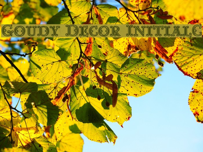 Goudy Decor InitialC Example 2