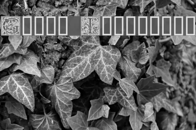 Goudy Initialen フォント examples