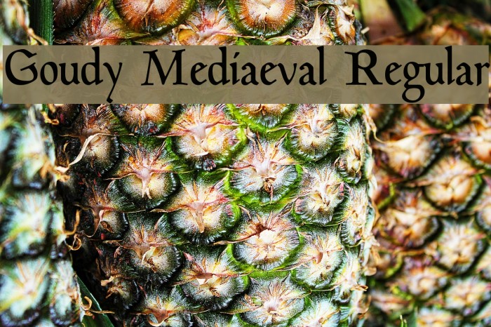 Goudy Mediaeval Regular Example 1