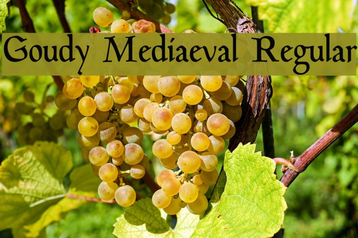 Goudy Mediaeval Regular Example 3