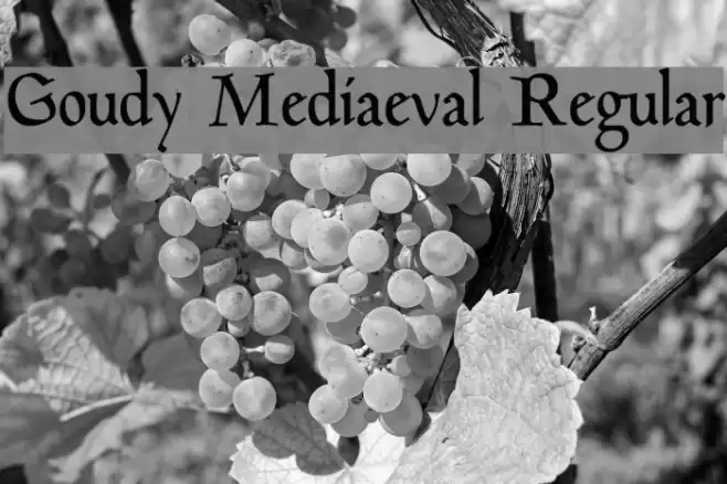 Goudy Mediaeval Regular Font examples