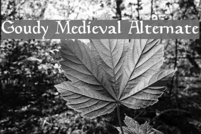 Goudy Medieval Alternate Font examples