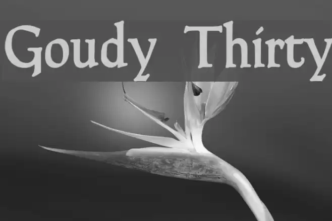 Goudy Thirty Font examples