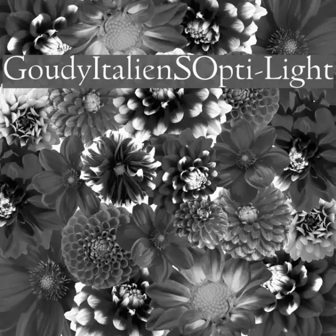 GoudyItalienSOpti-Light Font examples