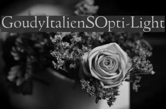 GoudyItalienSOpti-Light Font examples