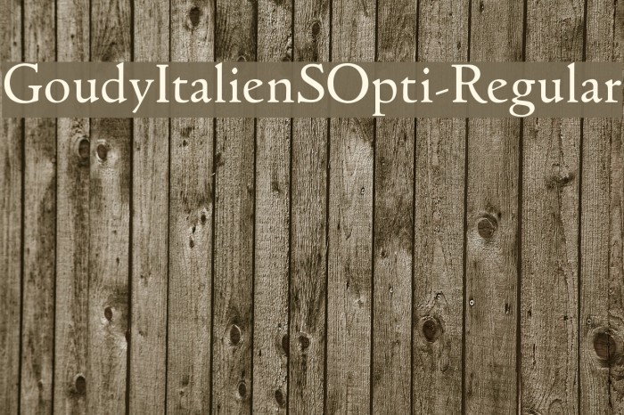 GoudyItalienSOpti-Regular Font examples