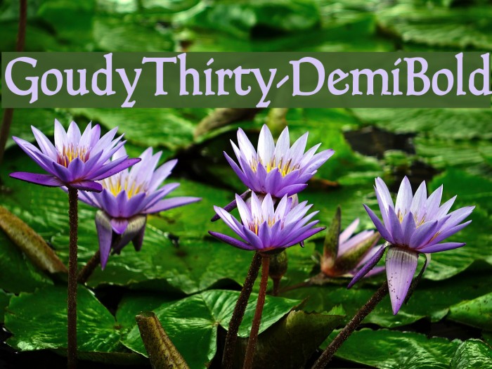 GoudyThirty-DemiBold Example 1