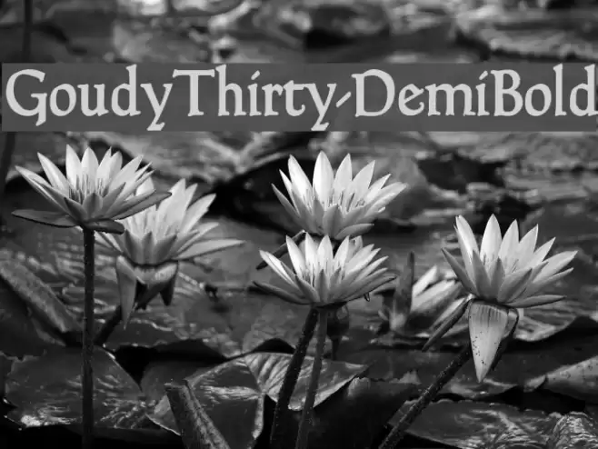 GoudyThirty-DemiBold Font examples