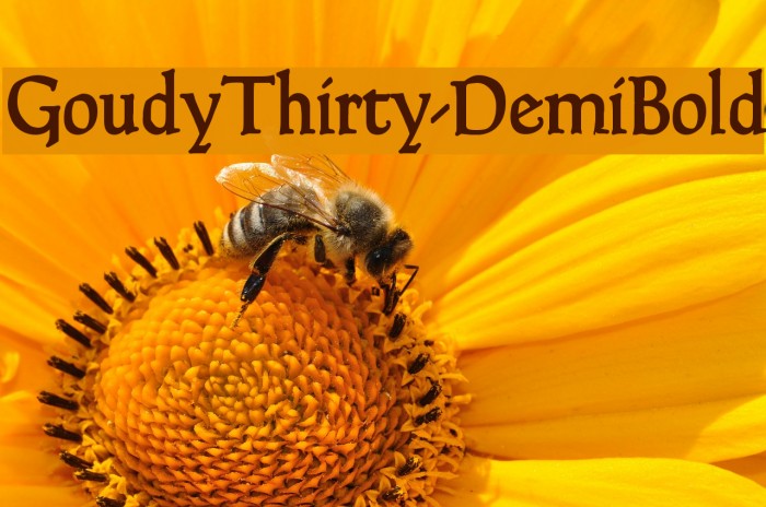 GoudyThirty-DemiBold Example 3