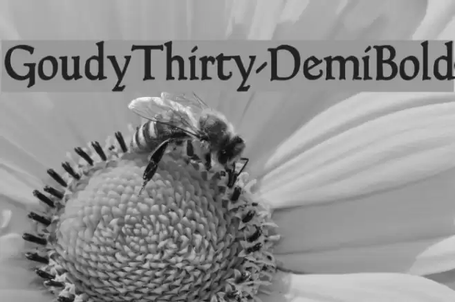GoudyThirty-DemiBold Font examples
