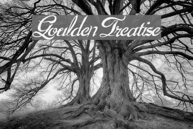 GouldenTreatise Font examples