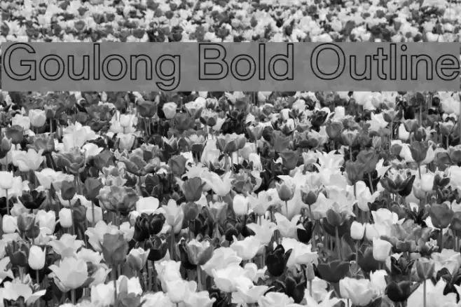 Goulong Bold Outline Font examples